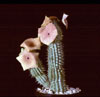 Hoodia gordonii - African Hats, Queen of the Namib