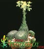 Sempervivum ciliosum-