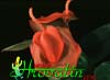 Anthurium scherzerianum - Flamingo Flower