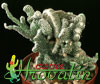 Copiapoa lauii- 